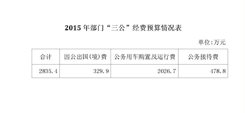 預算情況表