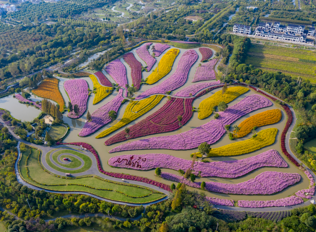 花開海上生態(tài)園.png