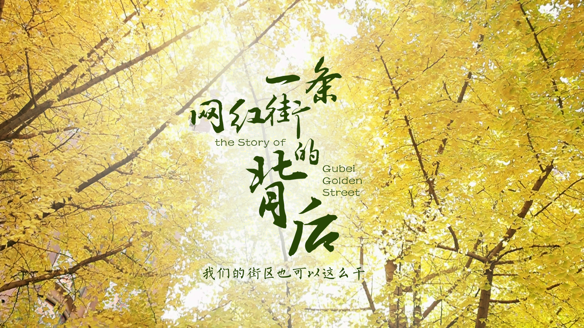 百姓話思想系列視頻第一季第四集：《一條網(wǎng)紅街的背后》